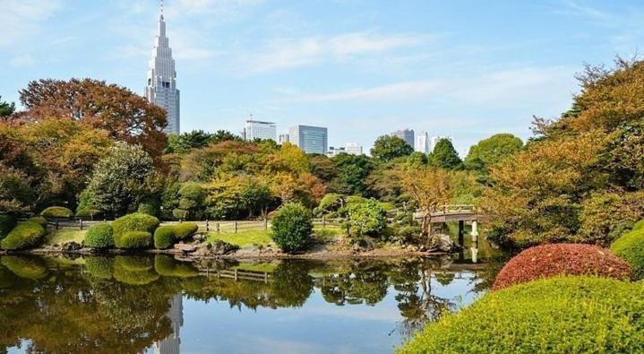 Апартаменты Tokyo Shibuya Shinjyuku Cat House ! Экстерьер фото
